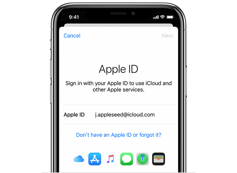 Apple ID Password